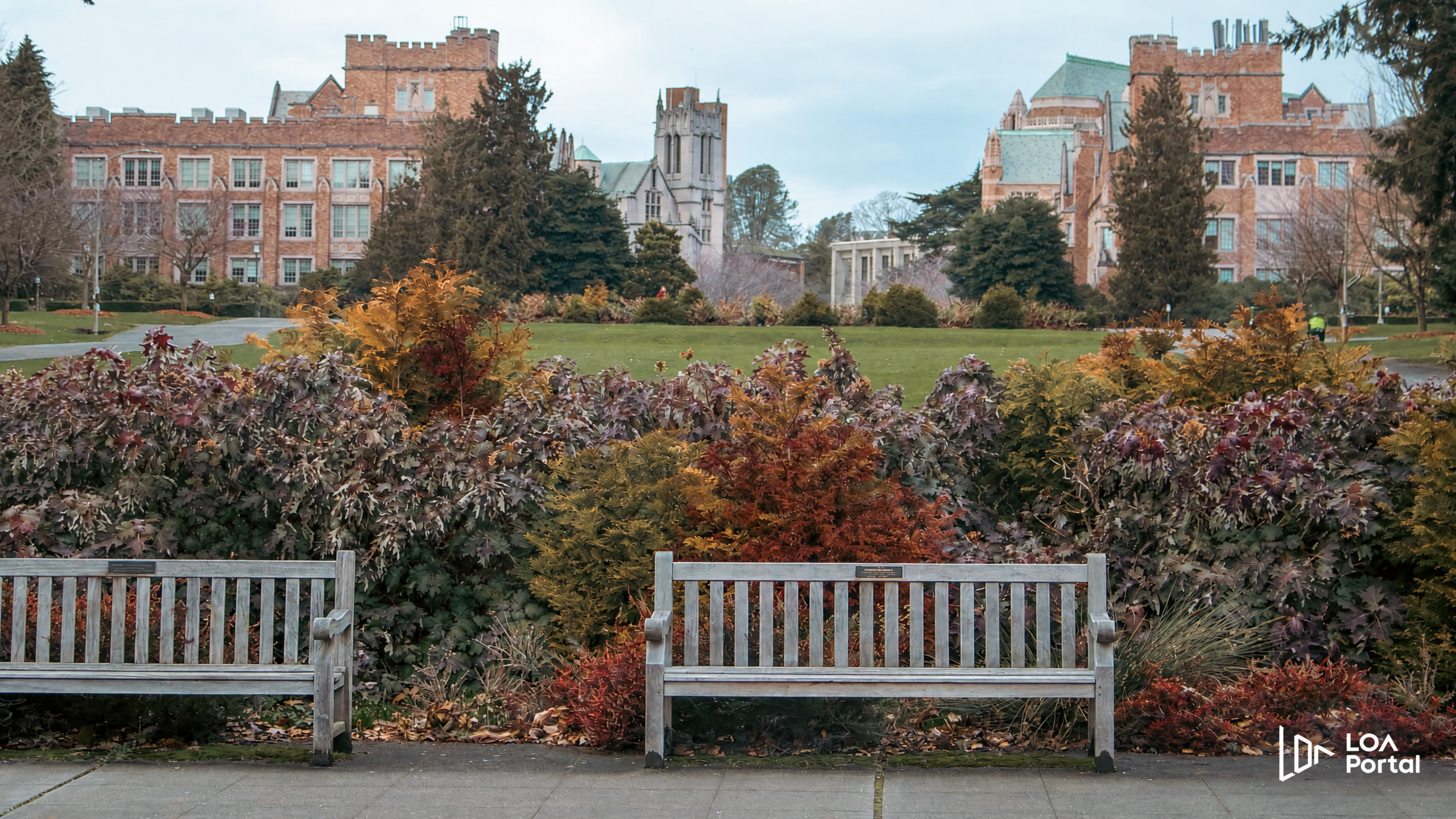 Study in Canada 2026: New Policies, PAL/TAL, and Study Permits