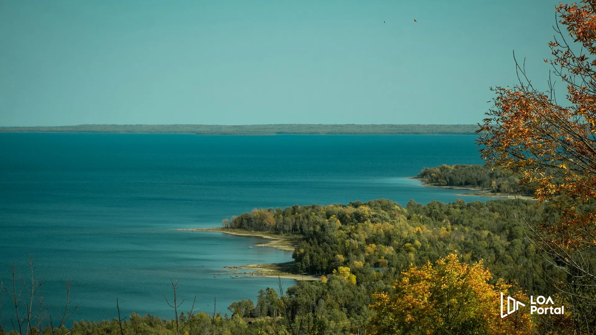 Educational Support in Canada: What Do You Study, What Do You Do, and Who Is It For?